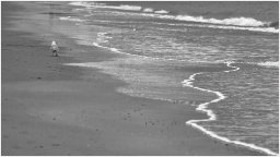 _ju50862 nb 1920